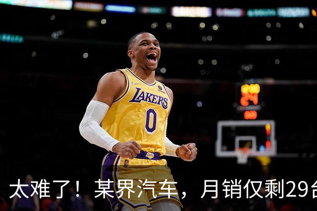 太难了！某界汽车，月销仅剩29台